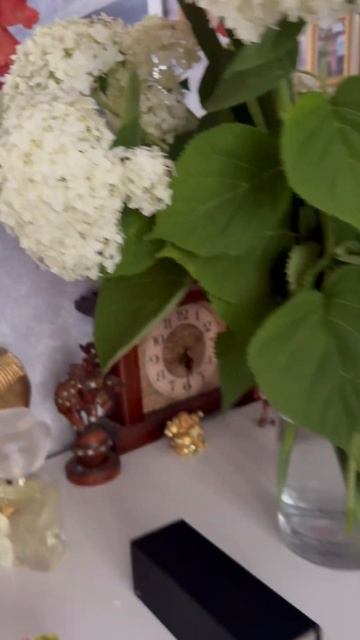 Счастье❤️где ты и я 🌸🌸🌸#дача#лето#семья#йорк#строй