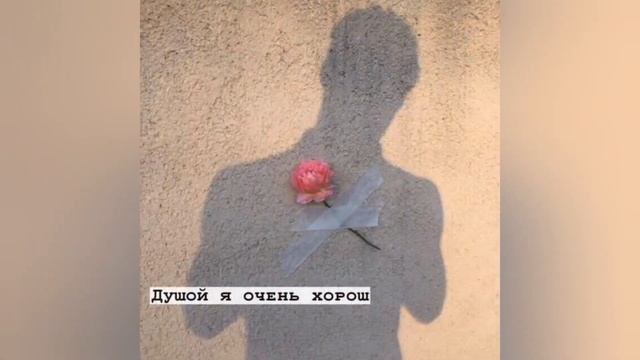 Лучшая подборка цитат | грустные, крутые, смешные цитаты | #61 | Best sequoteslection of quotes смотреть онлайн