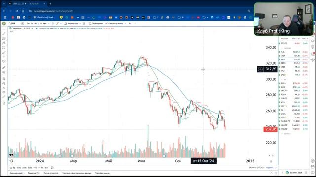 слив Profitking утренний обзор рынка 21.11.2024 сигналы смотреть онлайн