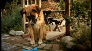 Первый канал - Рекламные блоки,анонсы (16.09.2010)