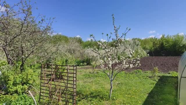 Вести с полей (серия 3). Весенний сев. смотреть онлайн