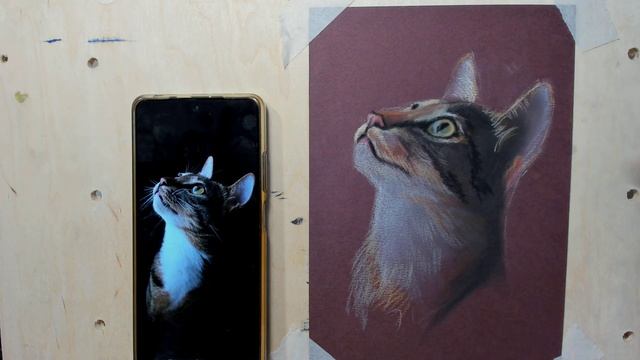 Обзор пастельных карандашей фирмы "ГАММА". Часть 2 смотреть онлайн