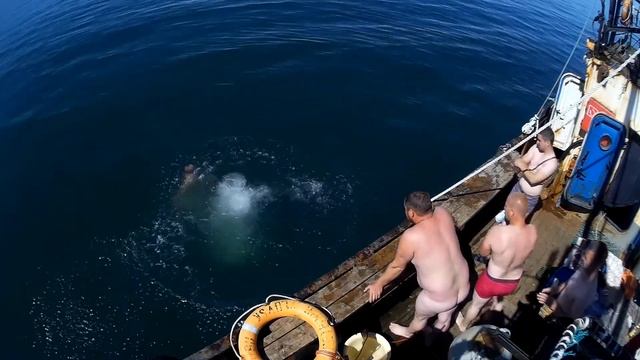 Комарово водолаз смотреть онлайн