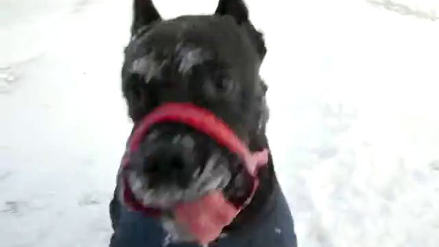 Изображение 077