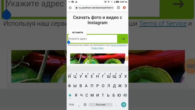 скачать видит с инстаграма спосаб работает (2021 года) смотреть онлайн