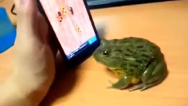 Лєгушка смотреть онлайн