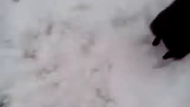 не ешьте желтый снег смотреть онлайн