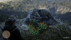 Могила Артура Моргана │ Red Dead Redemption 2