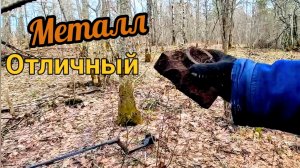 Копаю металл на окраине старого поля