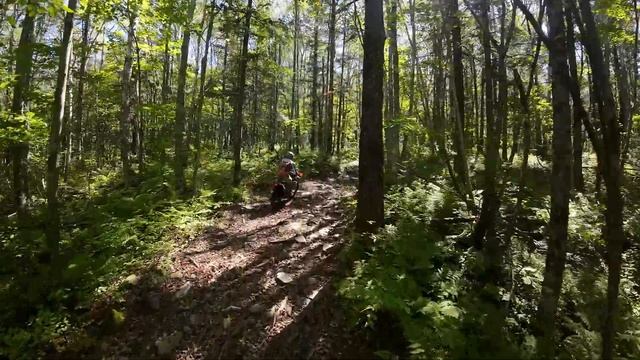 Мото прохват на гору Воробей | #enduro #crf250l #ktm390adventure #ktm690end смотреть онлайн