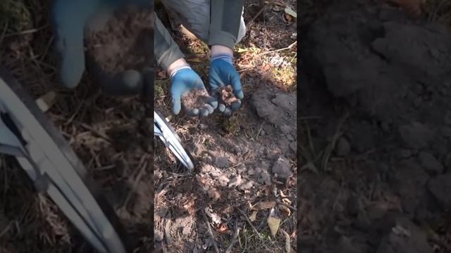 Дробинка и лом,находки в лесу #metaldetecting #коп #клад #подпи смотреть онлайн