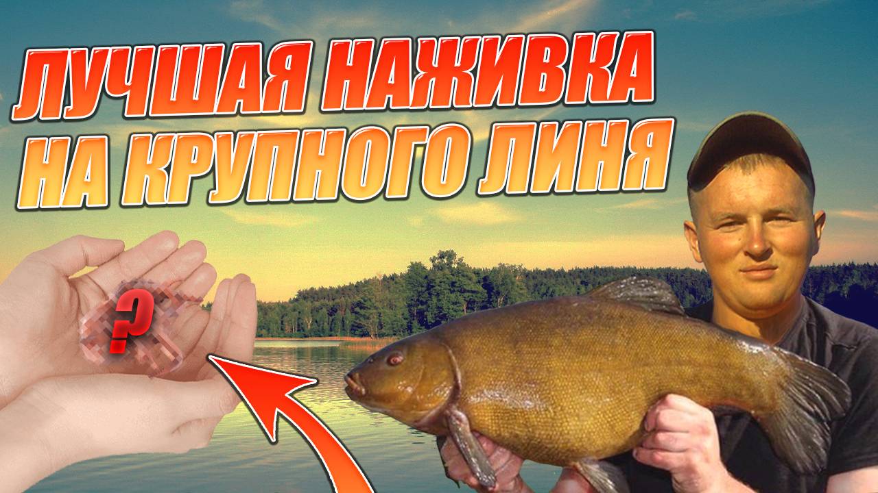 Супер наживка на ЛИНЯ. Как и на что ловить ЛИНЯ смотреть онлайн