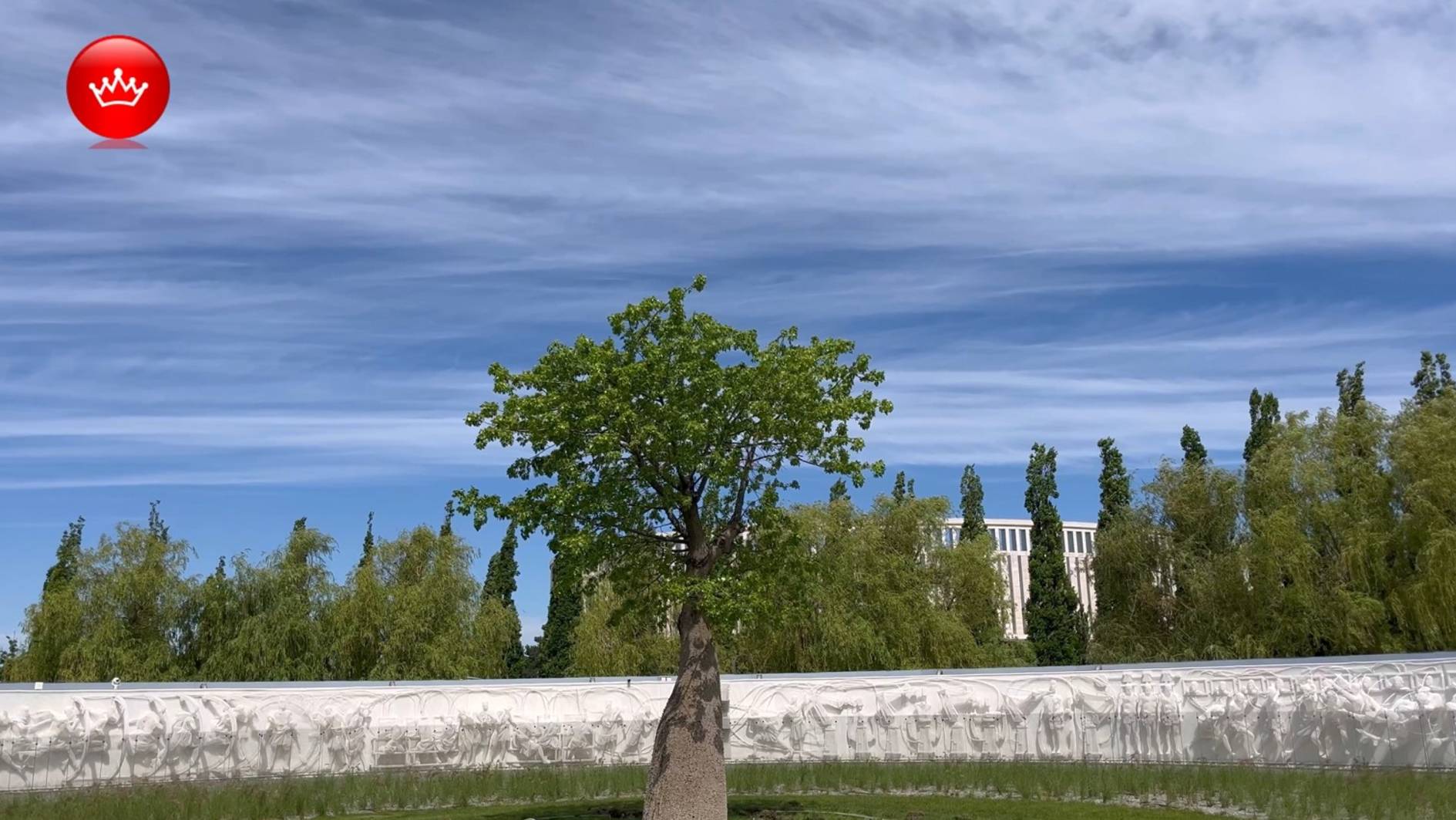 🌳В парке Галицкого можно встретить редкие и экзотические растения. смотреть онлайн