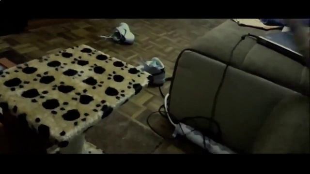 самые прикольные и смешные КОТЫ!Смотрите приколы с котами! смотреть онлайн