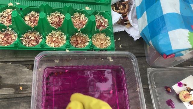 Мои ошибки при проращивании гладиолусов смотреть онлайн