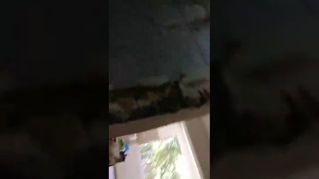 Перепланировки, БТИ +500$)))). Прораб Уз.