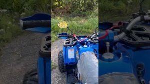 Большой обзор! Детский квадроцикл Motoland Wild X 125!👍