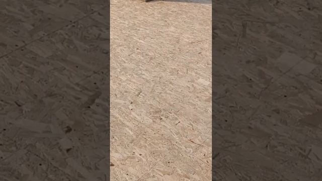 Плоская крыша 5тыс саморезов на ОСБИ ушло смотреть онлайн