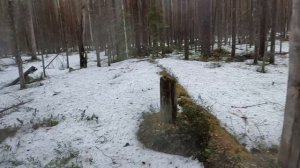 Ранняя весна 2025г #6 Гуси и погода