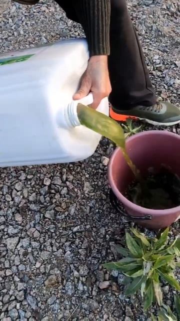 Навели красоту — теперь сохраняем