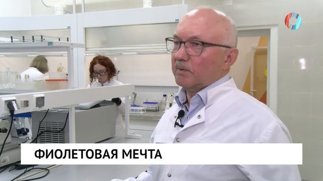 Фиолетовая мечта