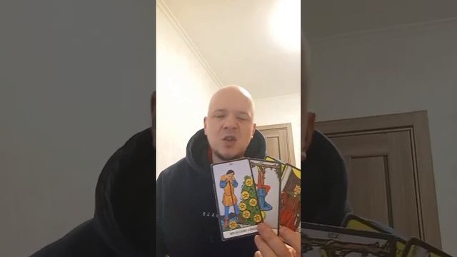Карты таро прямой эфир один бесплатный вопрос ФЛОКИ