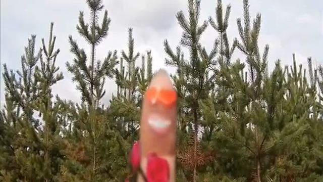 С днём рожденья ,Светик! смотреть онлайн