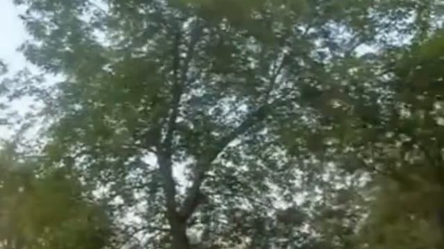 Прикол с пивом смотреть онлайн