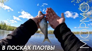 В поисках плотвы. Мормышинг Наноджиг Ультралайт