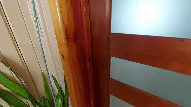 Замена межкомнатных дверей. Начинаю посевы семян. Обе?