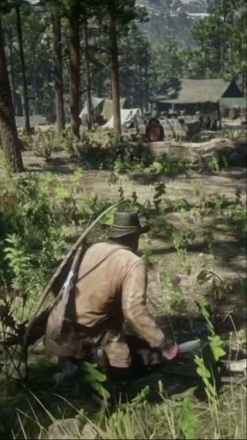 Работа ножом 😳 Red Dead Redemption 2