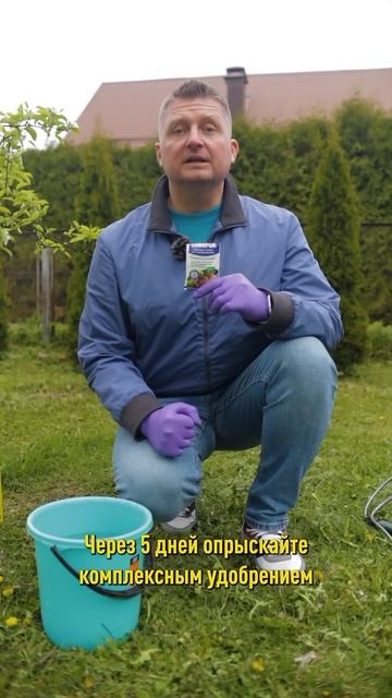 Деревья и кустарники почернели от заморозков? Сделайте так, чтобы помочь им выжить! смотреть онлайн