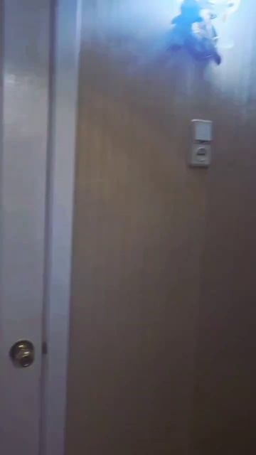 11921711 смотреть онлайн