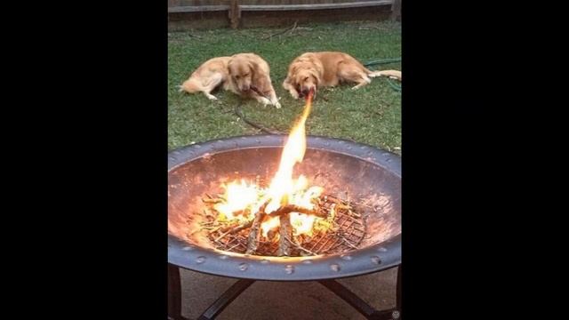 Оказалось показалось:) Ржачные картинки! смотреть онлайн