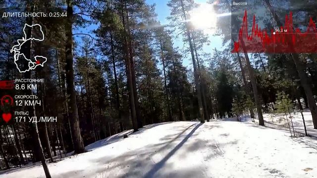 Ореховский лыжный марафон 2025