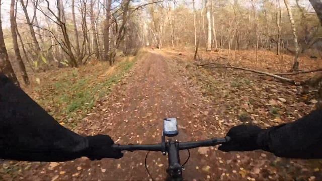 Черная Ракета ► BearBike Armata. Катнул по Парку и Лесу