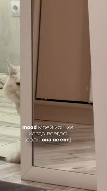 Эти «ВКУСНЯШКИ» точно НЕ стоит давать 🙌🏼 смотреть онлайн