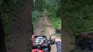 ЗиД фермер проходимость