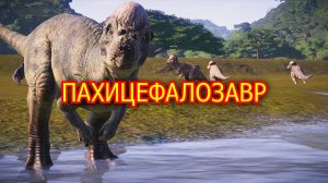 Пахицефалозавр. Безрогий динозавр который бодался. Видео о динозавре