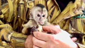 Мы с Алиной чуть НЕ ПОРУГАЛИСЬ! Хочет Финик есть или не хочет