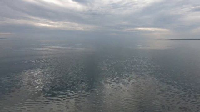 White Fox Music - One Life