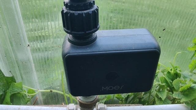 автополив для теплицы или газона (с управлением по Blueto смотреть онлайн