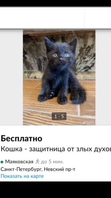 смешные объявления в Авито #trending #рек