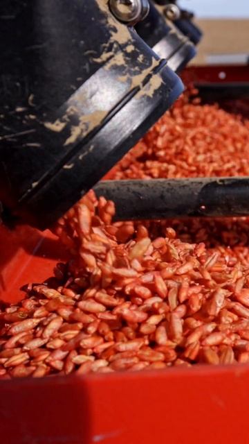 Випробуйте LEMKEN #SolitairDT на своєму полі! смотреть онлайн