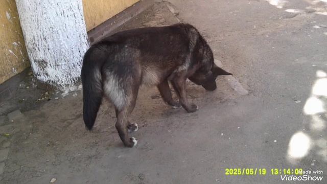 Мариуполь ⚓ как есть 🏗️🏬 смотреть онлайн