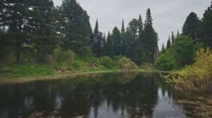 Покатушка в Коларовские угодья.