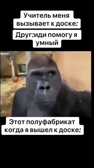 У кого было также пиши в комментах)#кринж #юмор #прикол #реки #рек #смех #youtube #subscribe смотреть онлайн
