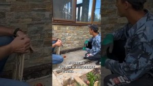 кварцит мультиколор