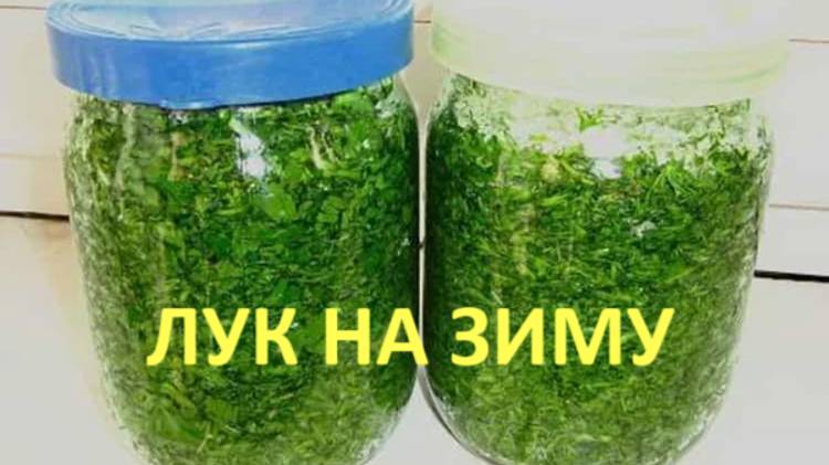 Лук в банке на зиму_ ПРОСТО, БЫСТРО, ПОЛЕЗНО! смотреть онлайн