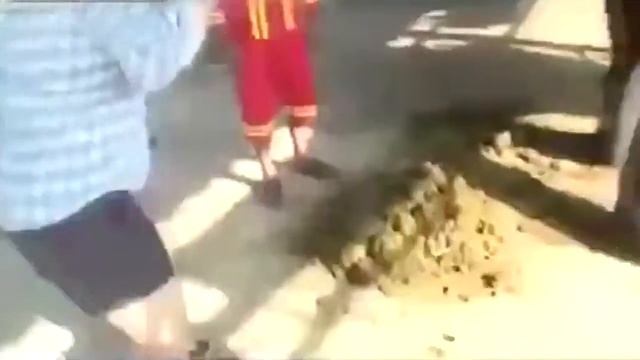 100500 СЛОН смотреть онлайн